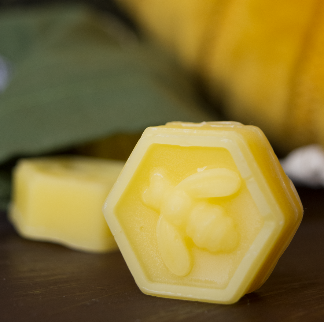 Ghost Stories Beeswax Melts